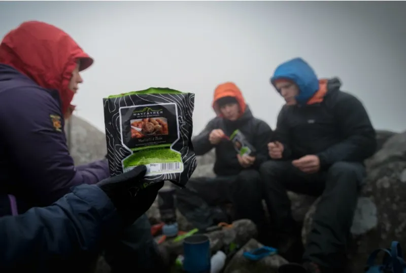 Wayfayrer Chicken Tikka and Rice-5