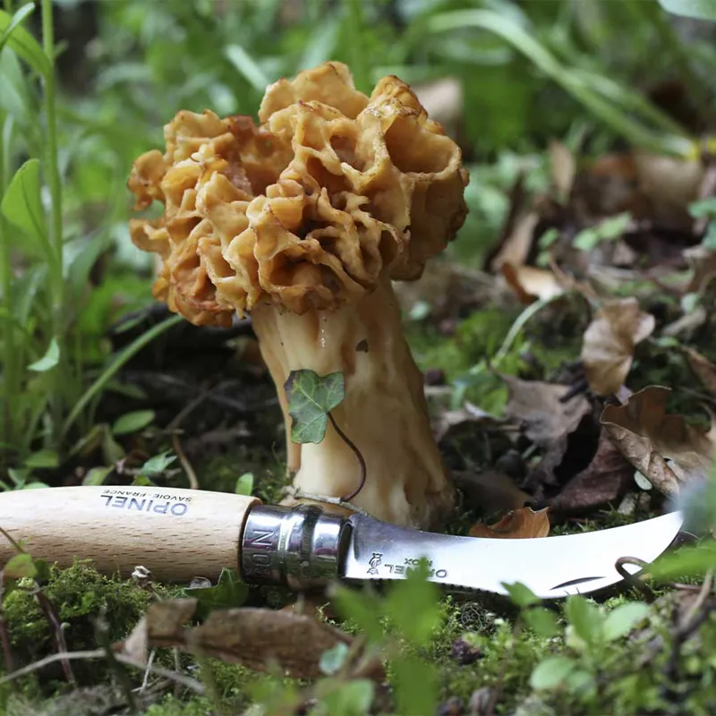Opinel No.8 Mushroom Knife-4