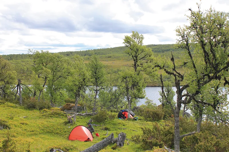 Hilleberg Enan Tent - Green-5