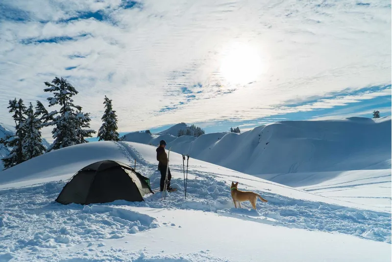 Hilleberg Staika Tent - Sand-4