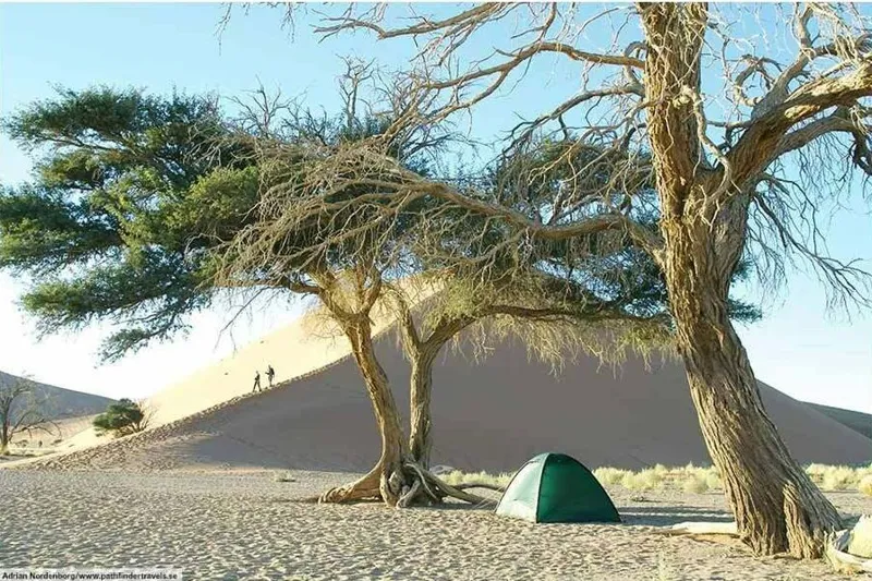 Hilleberg Unna Tent - Green-3