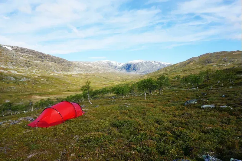 Hilleberg Anjan 3 GT Tent - Green-5