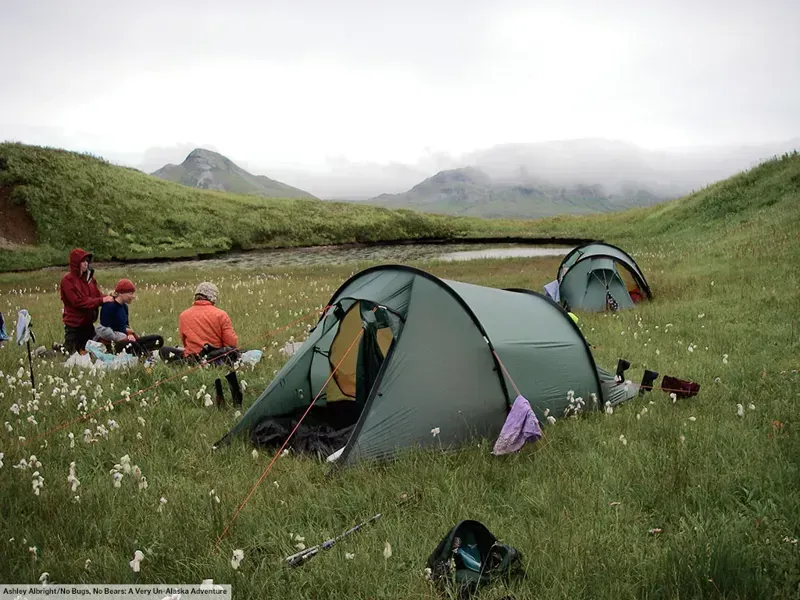 Hilleberg Nallo 2 Tent - Green-7