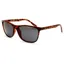 BLOC Coast Sunglasses - Brown Tortoiseshell-Polarised Grey