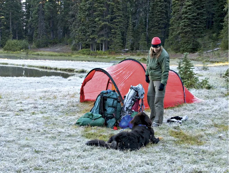 Hilleberg Nallo 4 GT Tent - Green-7