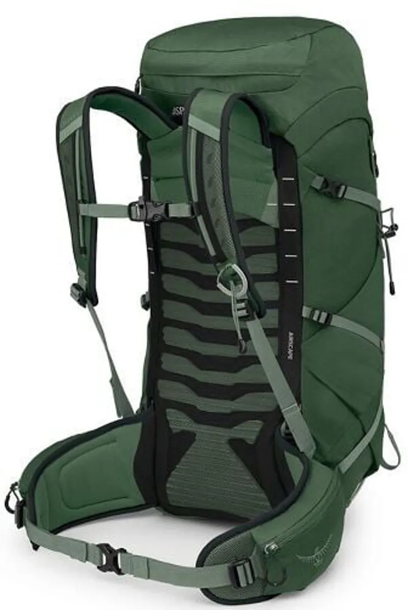 Osprey Talon 33 Rucksack - Green Canopy-Pine Leaf-1