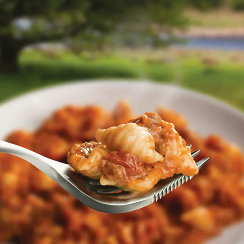 Wayfayrer Pasta Bolognese-1