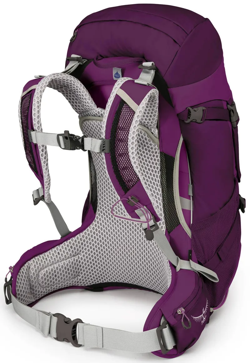 Osprey Womens Sirrus 26 Rucksack - Ruska Purple-1