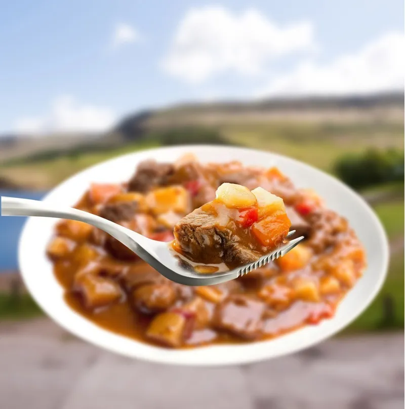 Wayfayrer Beef Goulash-1