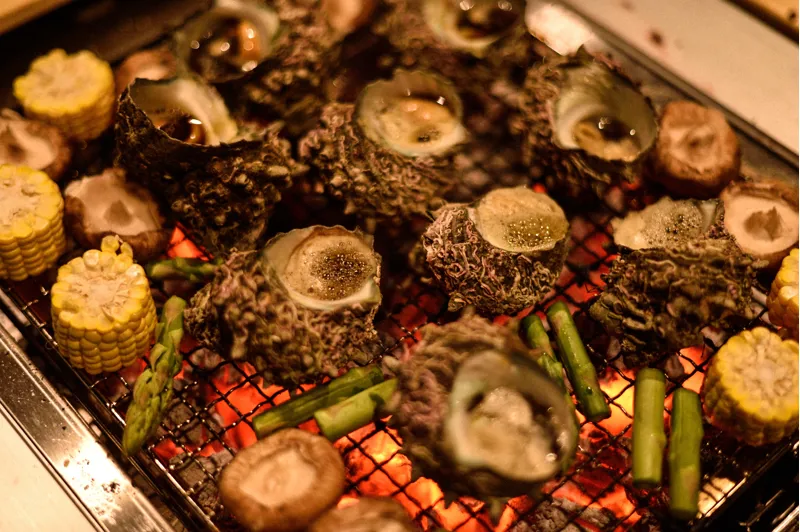 Snow Peak Lounge Charcoal Stove-8