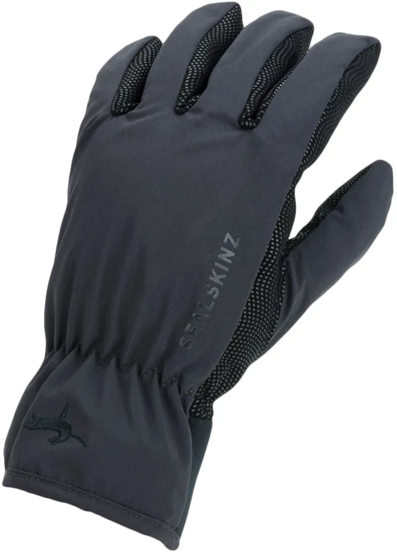 Sealskinz Waterproof All Weather Lightweight Glove - Black