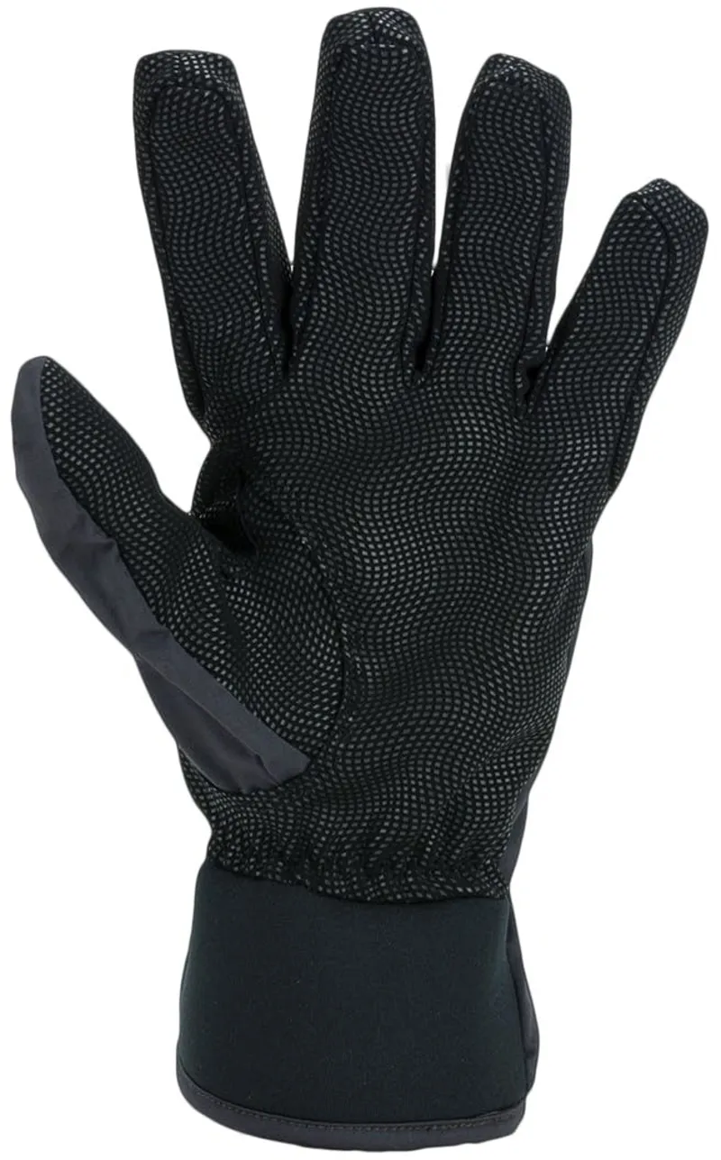 Sealskinz Waterproof All Weather Lightweight Glove - Black-1